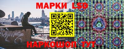 прущие грибы Краснокаменск