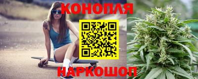 гидра Краснознаменск