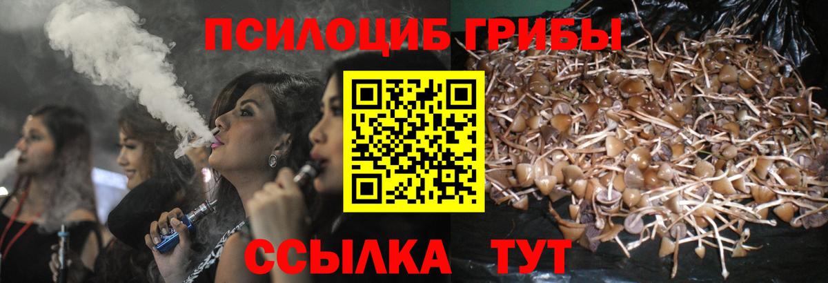 Каменск-Шахтинский  Псилоцибиновые грибы Psilocybe  Вход с VPN 